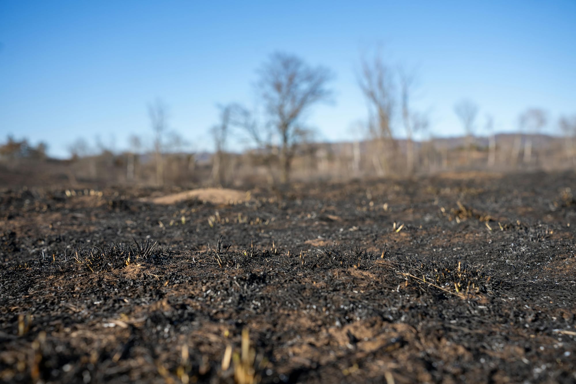 Community Bread Initiative Shines Amidst Tragic Fires in Ohio